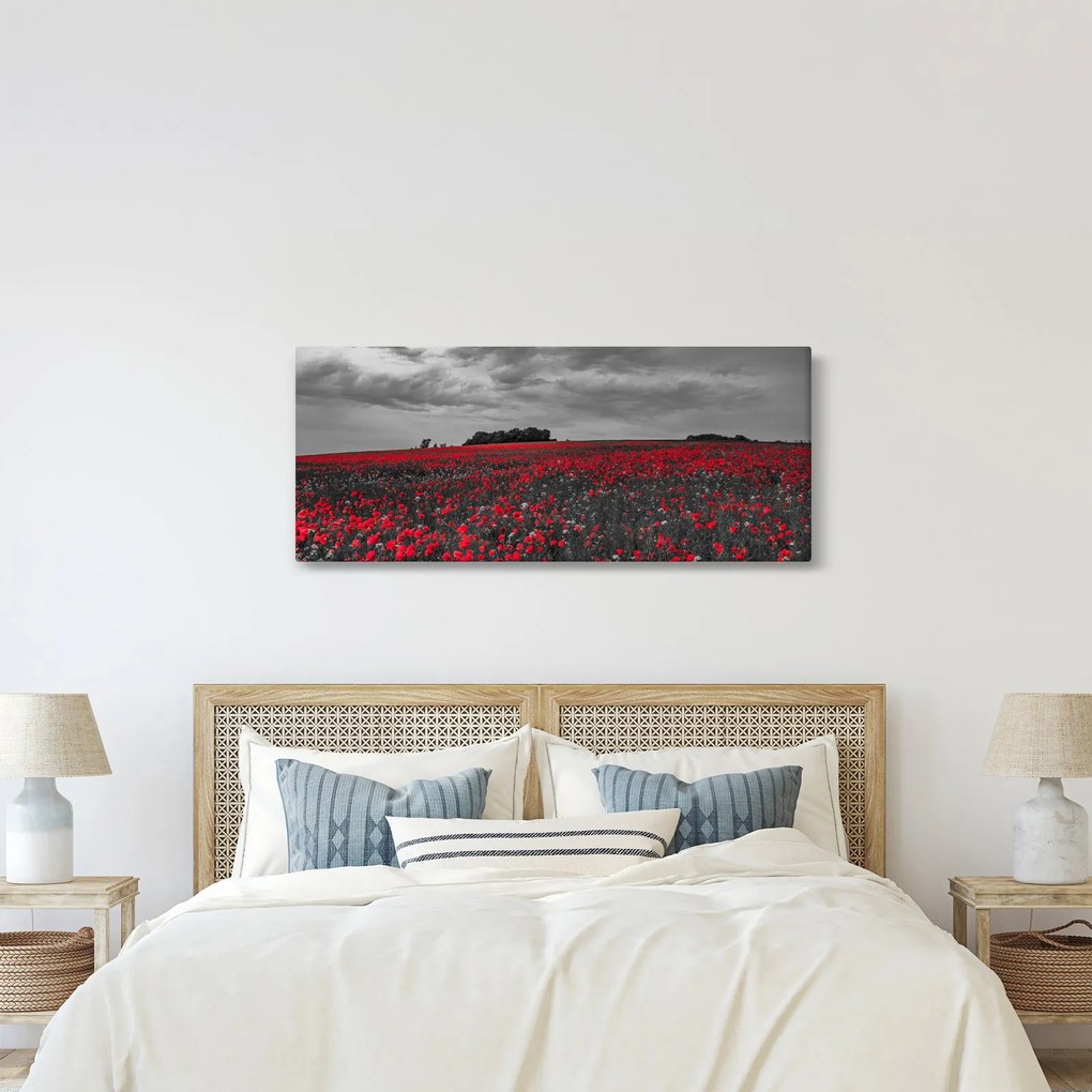 Obraz vlčích makov (120x50 cm)