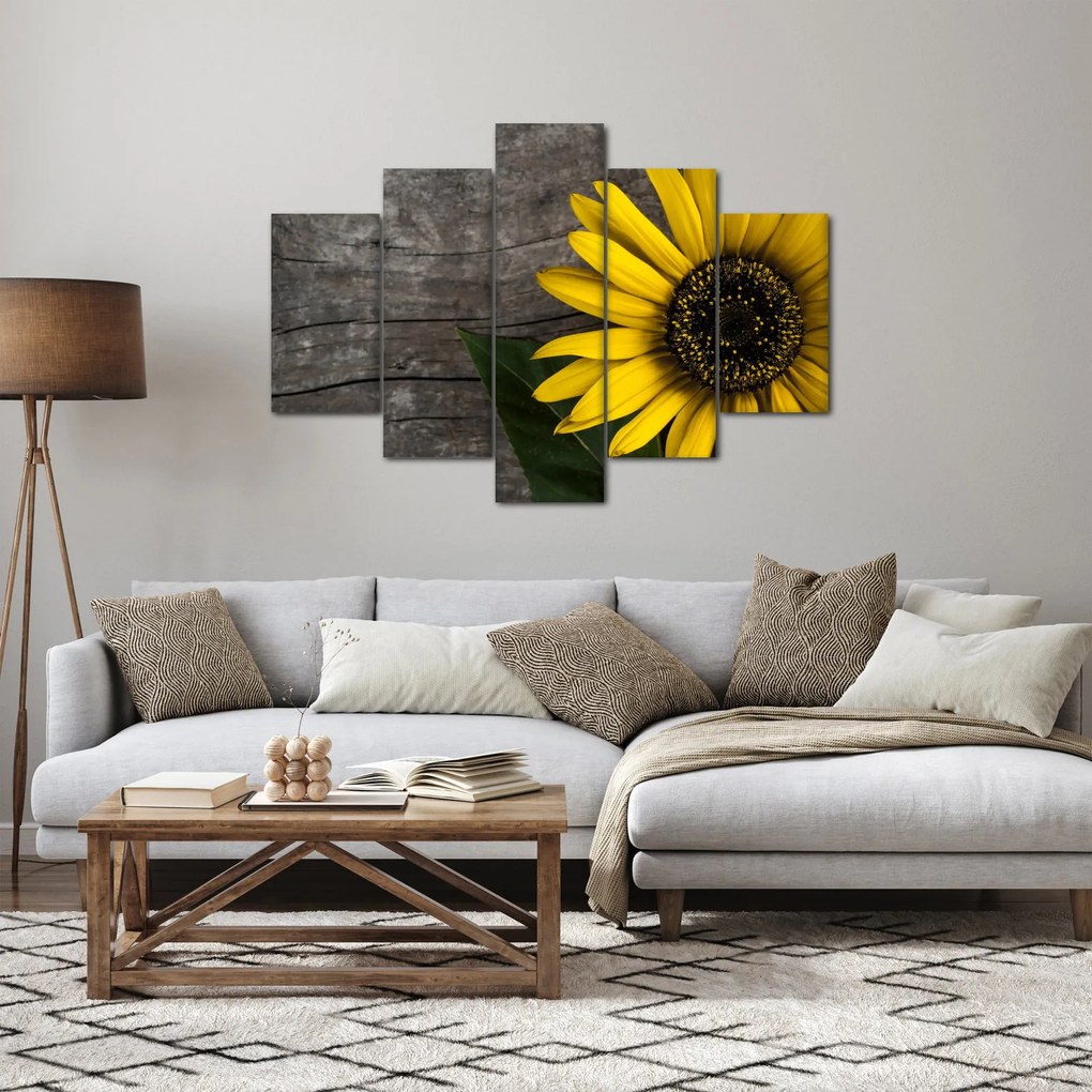 Obraz - Kvet slnečnice (150x105 cm)