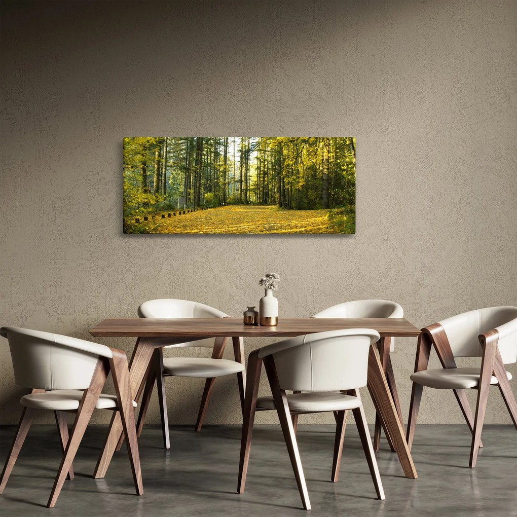 Obraz - les v jeseni (120x50 cm)
