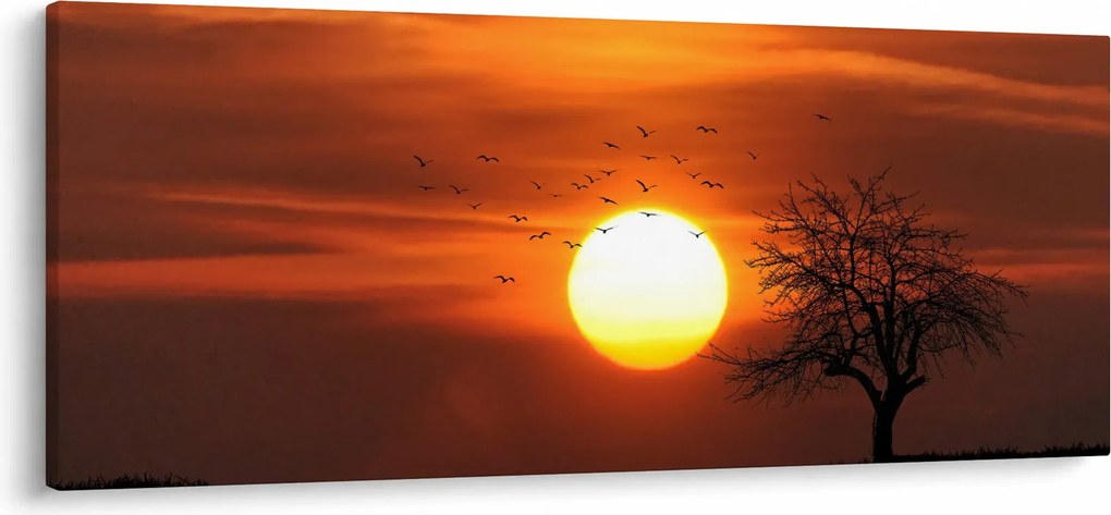 Obraz - Západ slnka (120x50 cm)