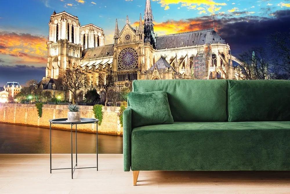 Fototapeta katedrála Notre Dame - 225x150