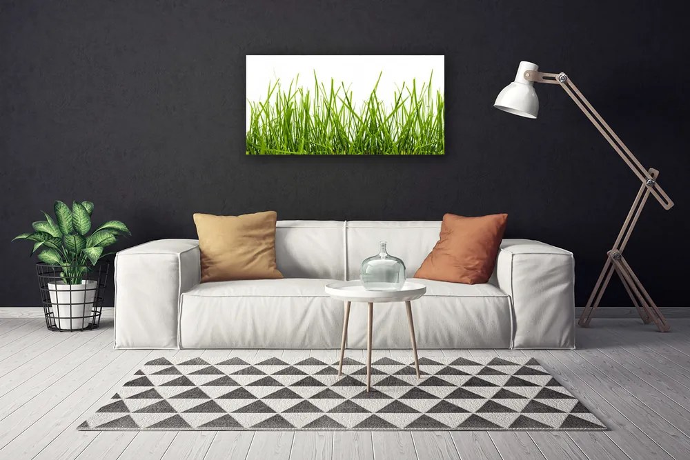 Obraz Canvas Tráva príroda rastlina 140x70 cm