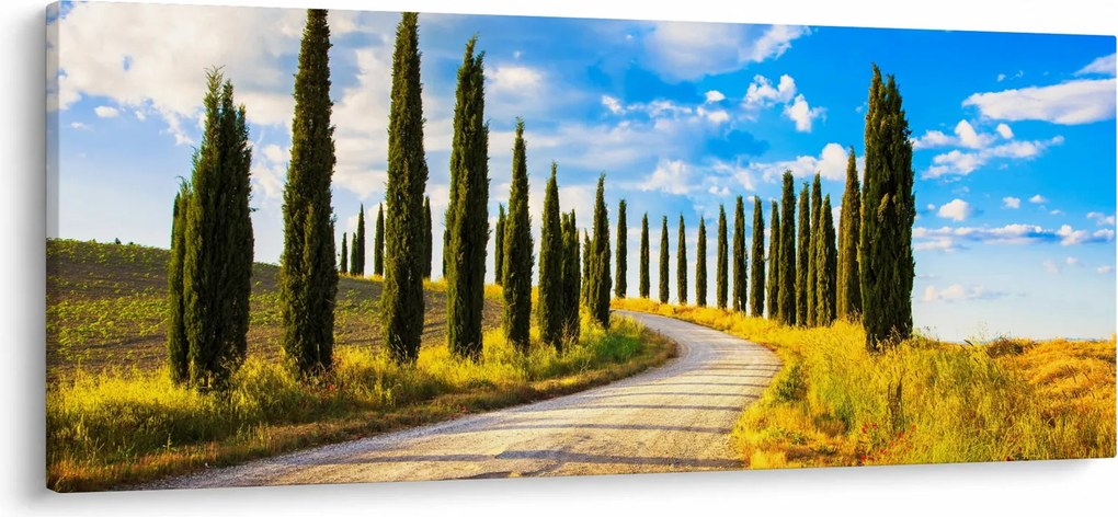 Obraz - Krajina (120x50 cm)