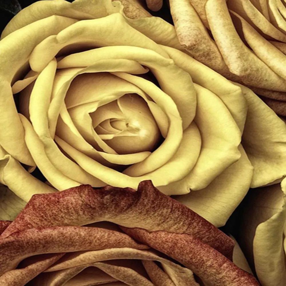 Ozdobný paraván Žluté růže - 180x170 cm, päťdielny, obojstranný paraván 360°