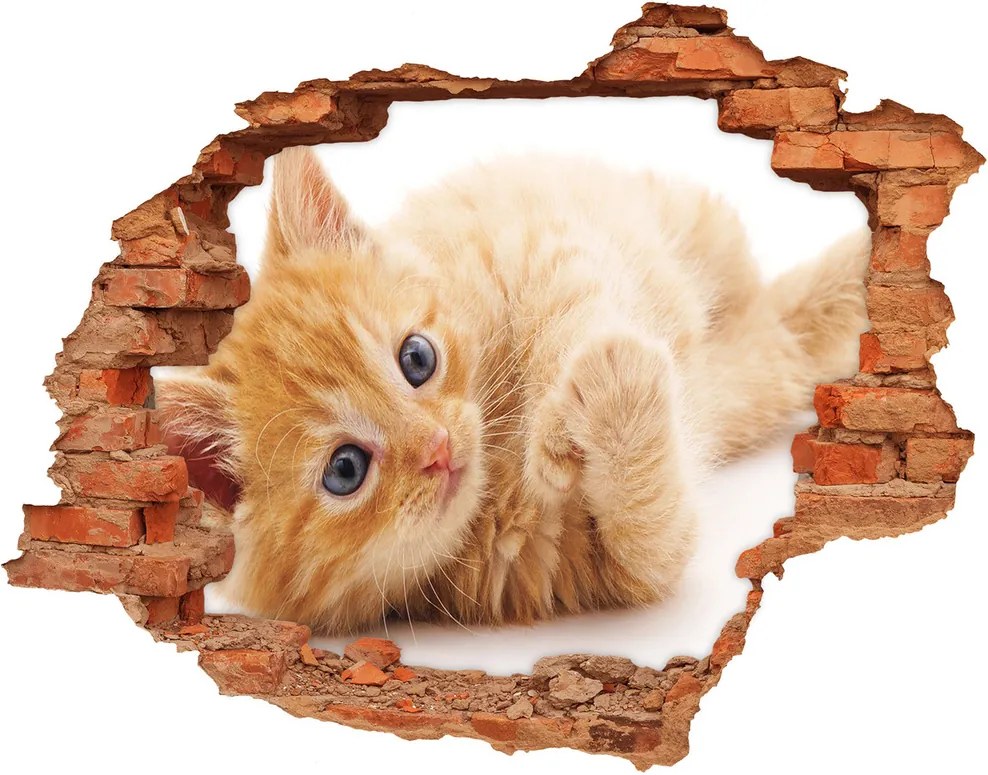 Diera 3D fototapeta nálepka Červená mačka WallHole-cegla-90x70-126034635