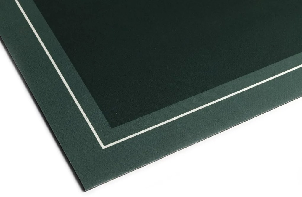 Aqualine Aqualine, Kúpeľňová predložka 50x80cm, absorpčná, zelená, PCD013