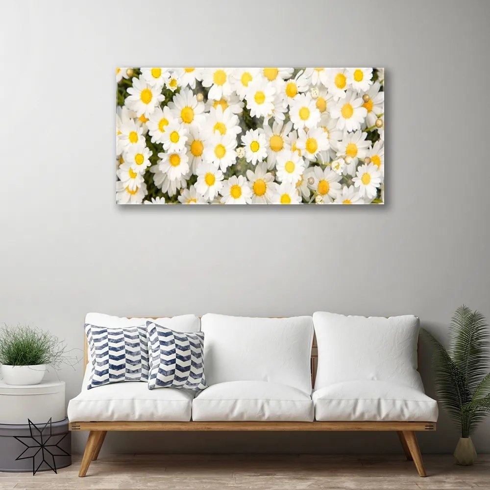 Skleneny obraz Sedmokrásky kvety 100x50 cm
