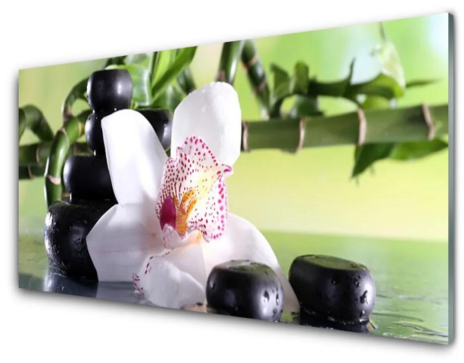 Skleneny obraz Orchidea kamene bambus 140x70 cm