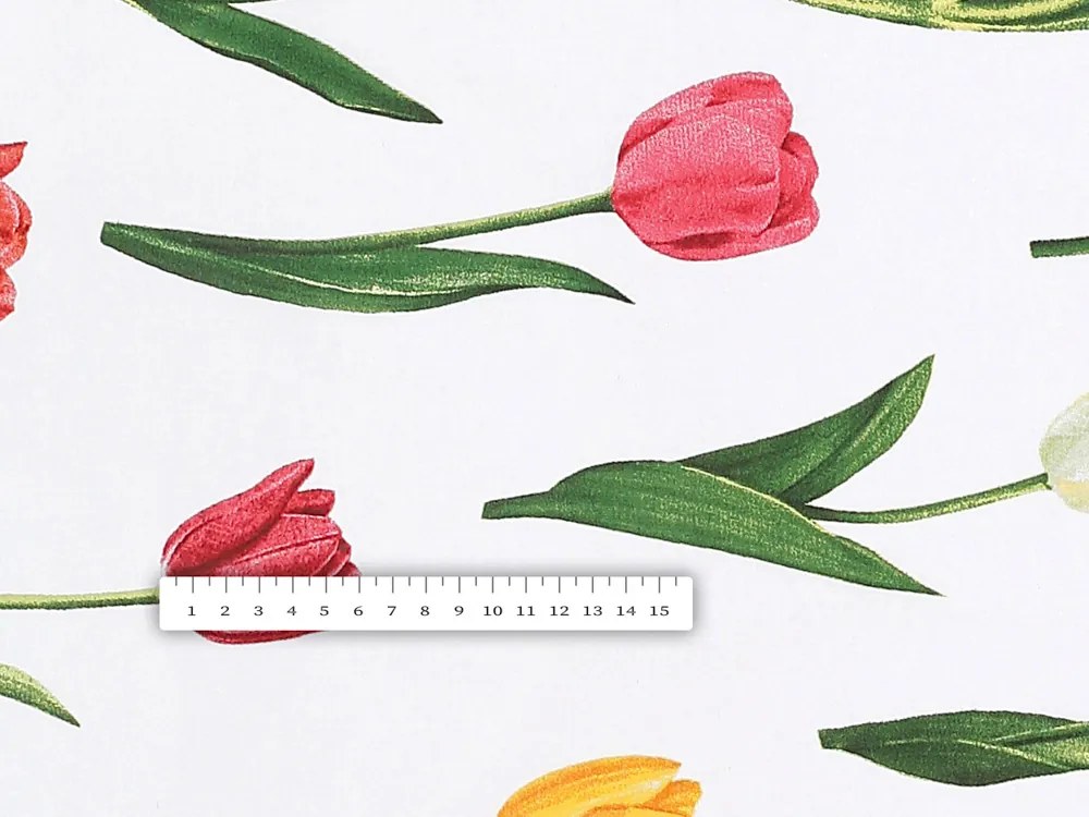 Bavlnená látka/plátno Sandra SA-506 Tulipány na bielom - šírka 220 cm