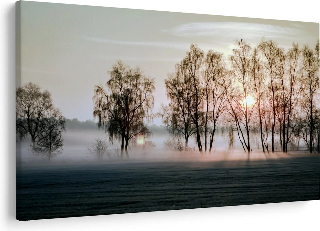 Obraz - Ranná sychravosť (90x60 cm)