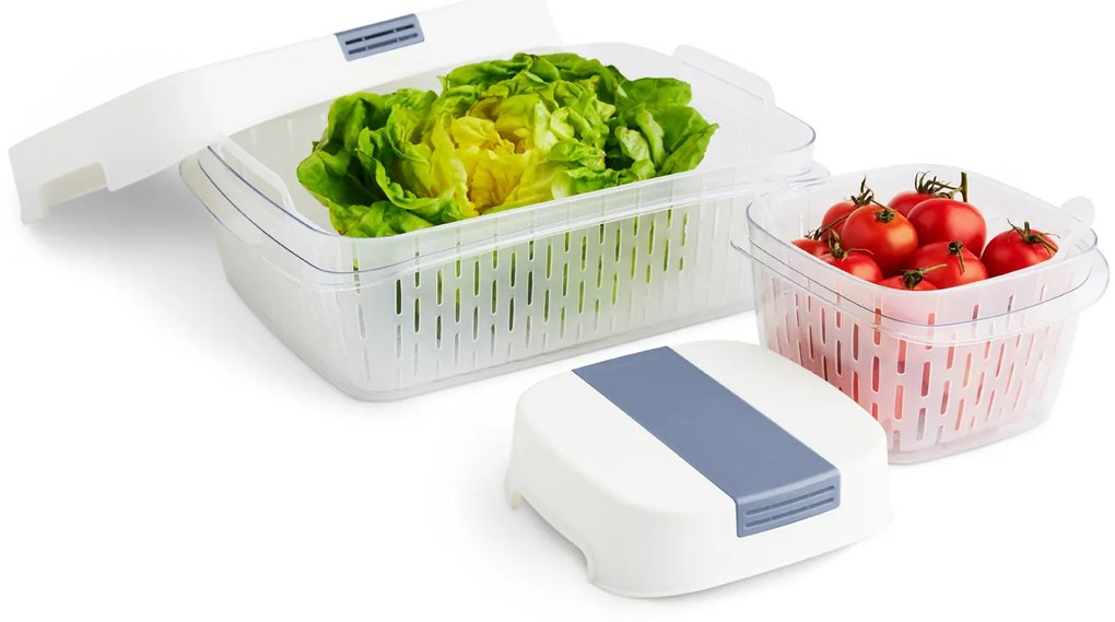 Rotho Špeciálny box na ovocie a zeleninu, s ventiláciou a filtrom, do chladničky, Fridge Fresh, 6,4 l - modrý