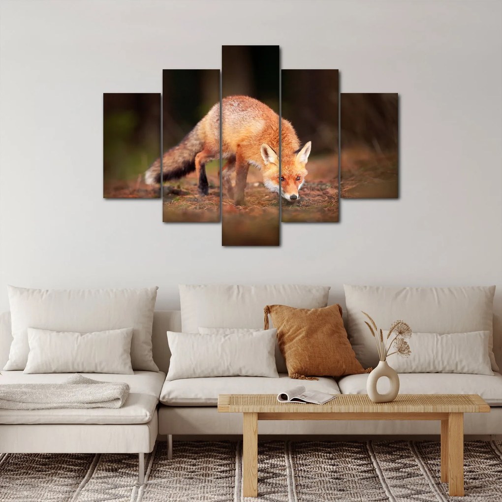 Obraz - Lišiak v lese (150x105 cm)
