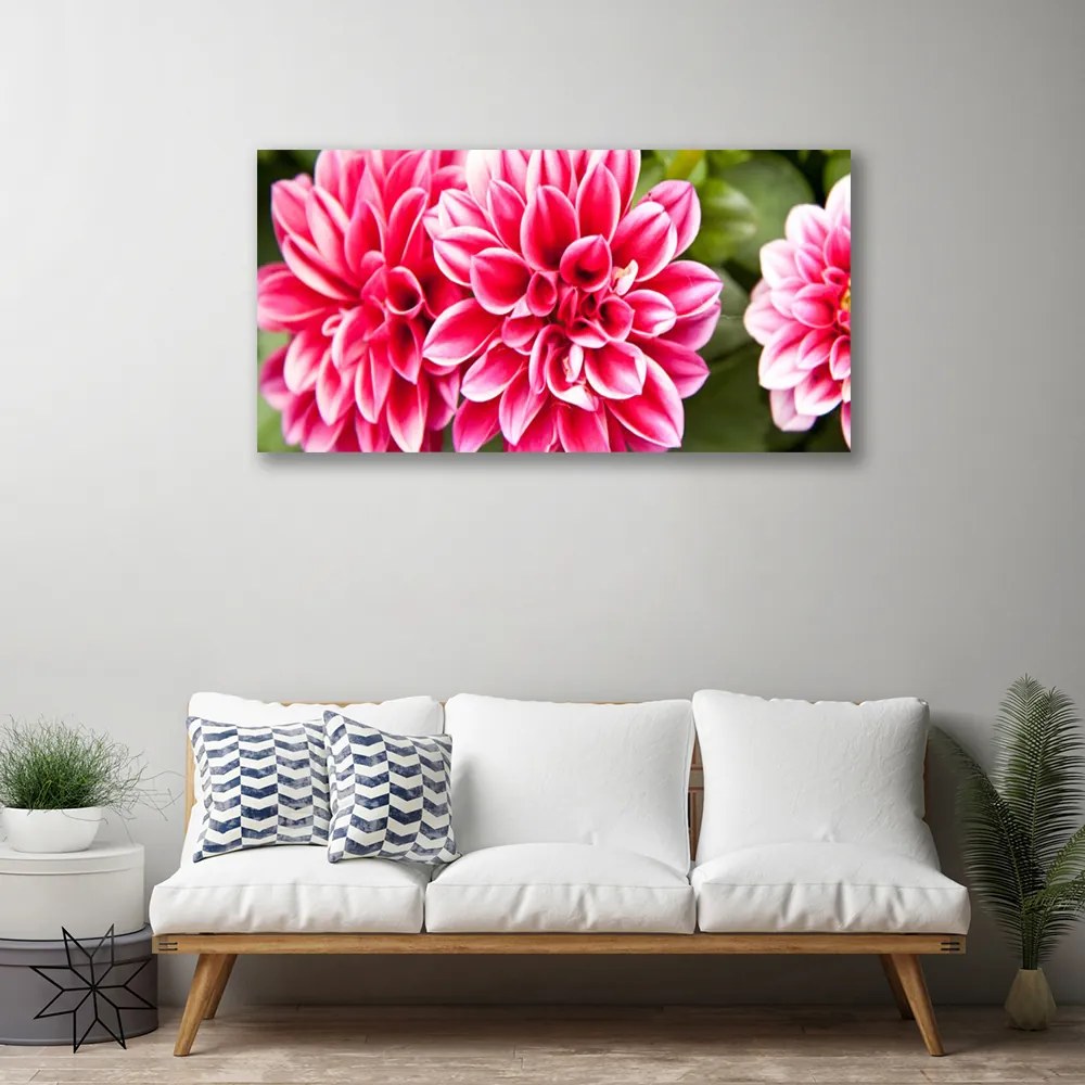 Obraz Canvas Kvety rastlina príroda 125x50 cm