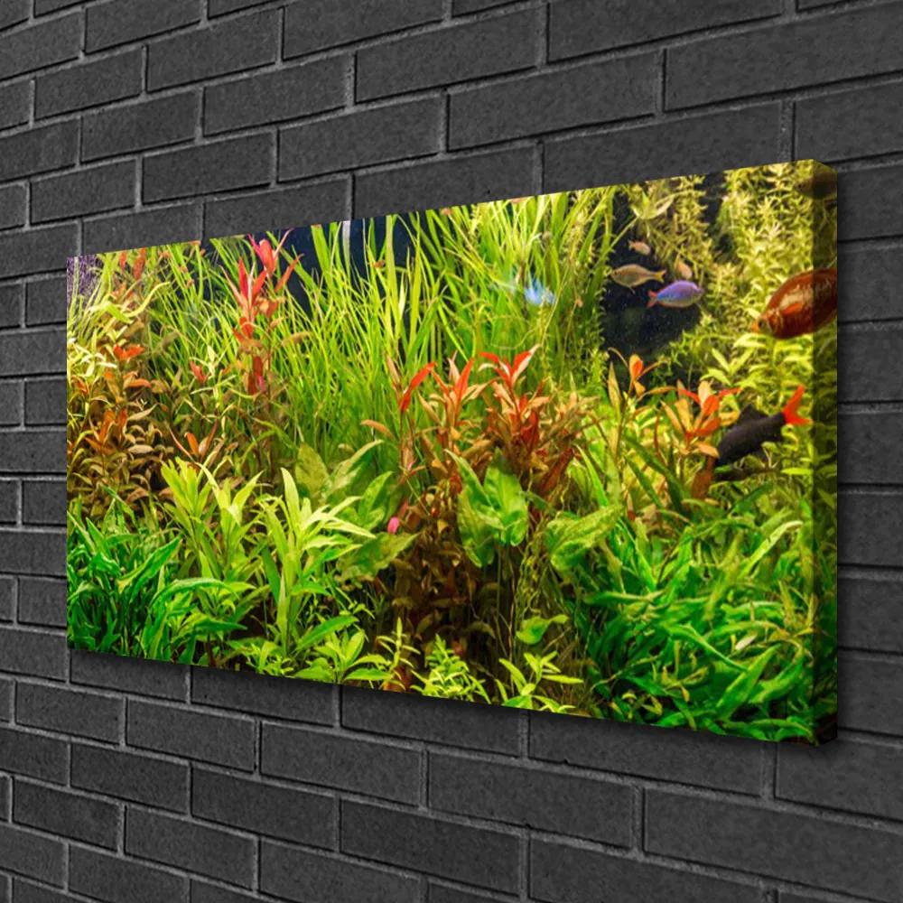 Obraz Canvas Akvárium rybičky rastliny 120x60 cm