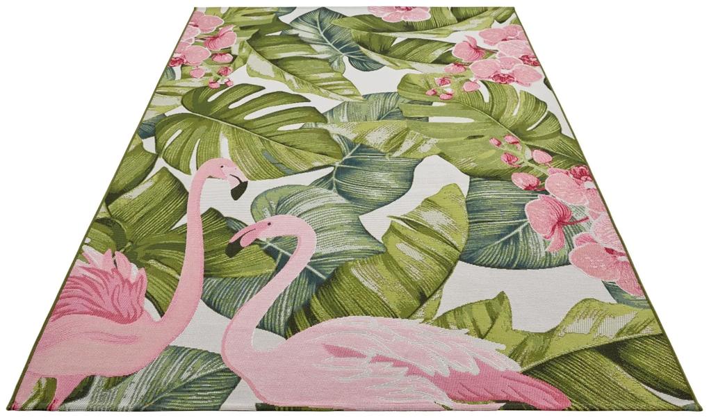 Hanse Home Collection koberce Kusový koberec Flair 105614 Tropical Flamingo Multicolored – na von aj na doma - 200x285 cm