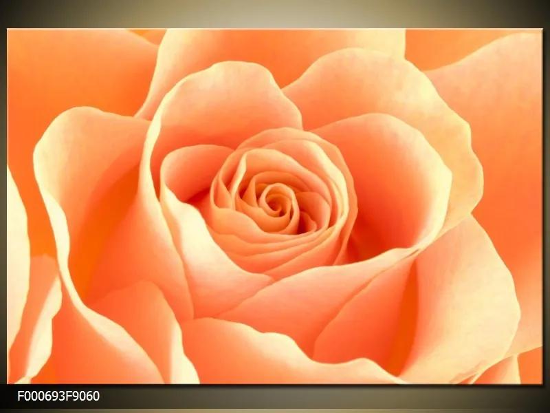 Obraz na plátne Oranžová ružička, Obdĺžnik 90x60cm 60,8 €