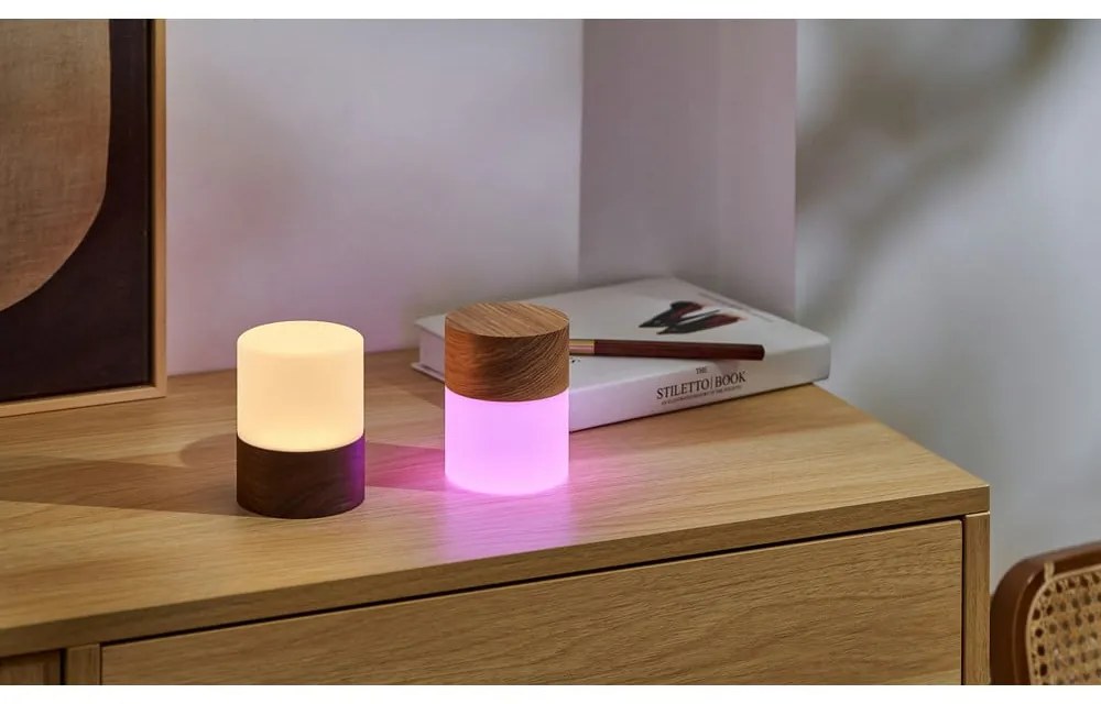 Stmievateľná stolová lampa v prírodnej farbe so skleneným tienidlom (výška 10,5 cm) Lemelia - Gingko