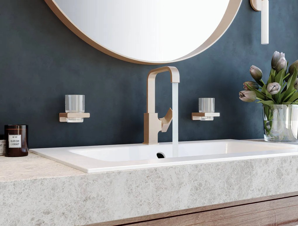 Hansgrohe AddStoris, nádobka na ústnu hygienu, kartáčovaný bronz, HAN-41749140