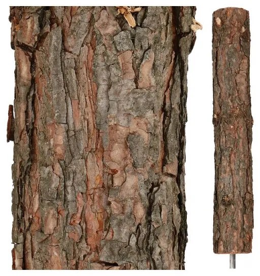 SPRINGOS Vianočný stromček Borovica himalájska na kmienku 160 cm