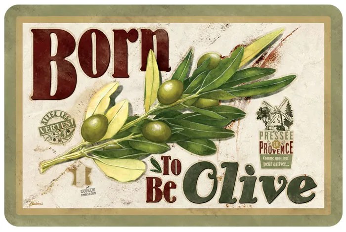 Prestieranie "Born to be olive" sada 6ks, 43.5x28.5 cm, pvc