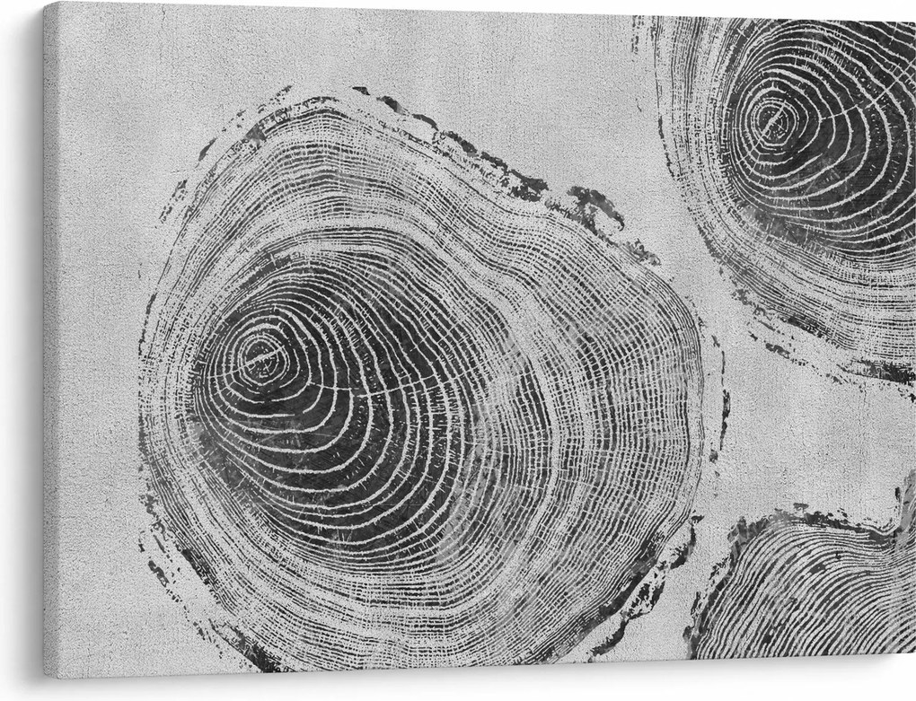 Obraz - Motív stromu (70x50 cm)