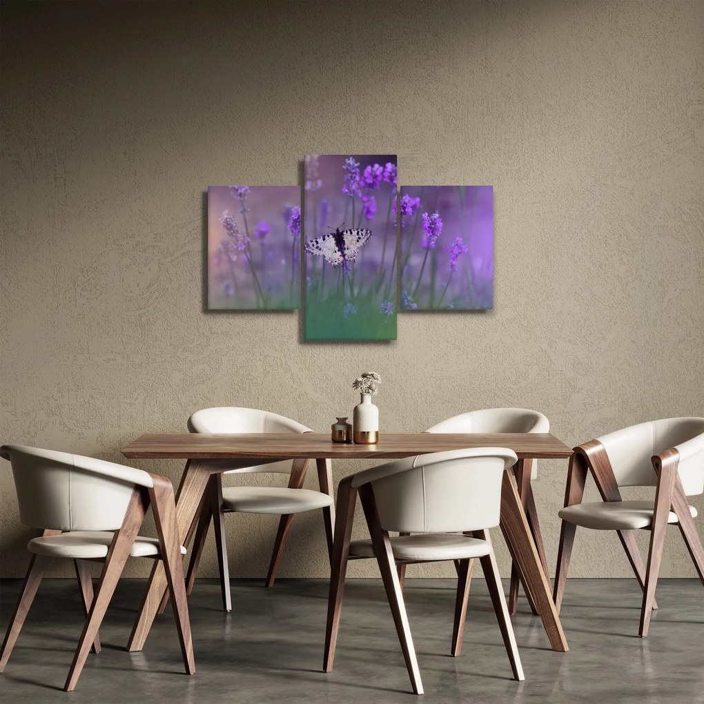 Obraz - Motýľ v levanduli (90x60 cm)