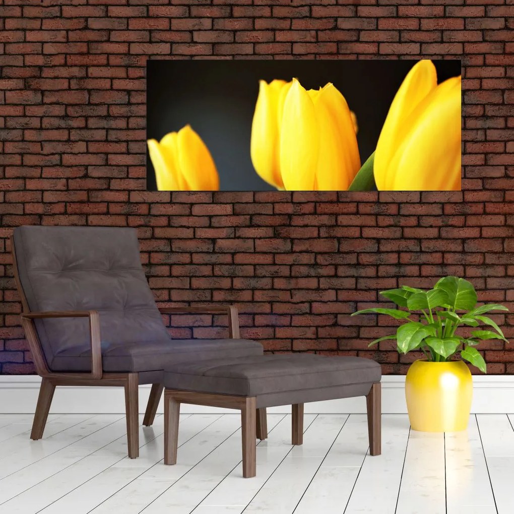 Obraz tulipánov (120x50 cm)