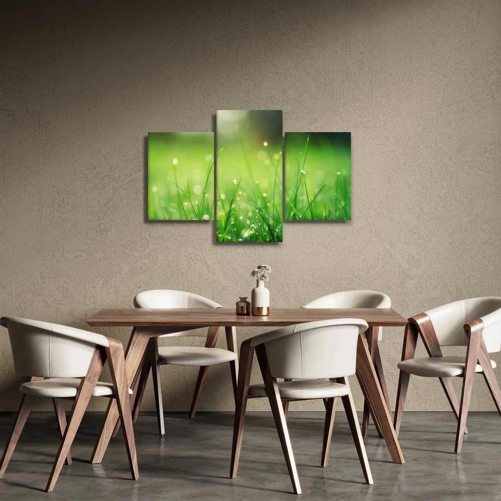 Obraz - rosa na tráve (90x60 cm)