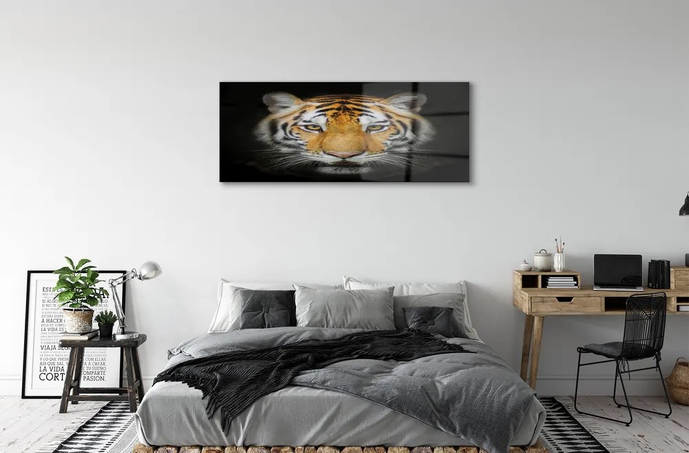 Obraz na akrylátovom skle Tiger 120x60 cm