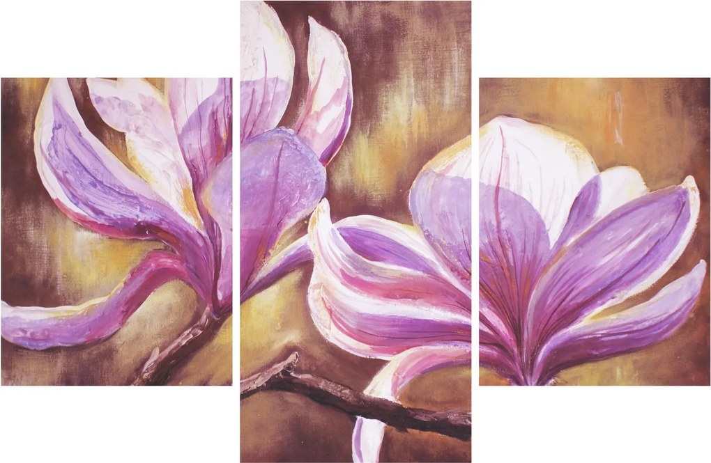 Obraz - Kvety magnólie (90x60 cm)