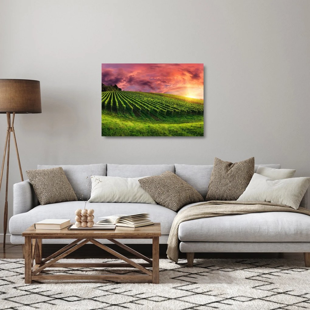 Sklenený obraz vinice s farebným nebom (70x50 cm)