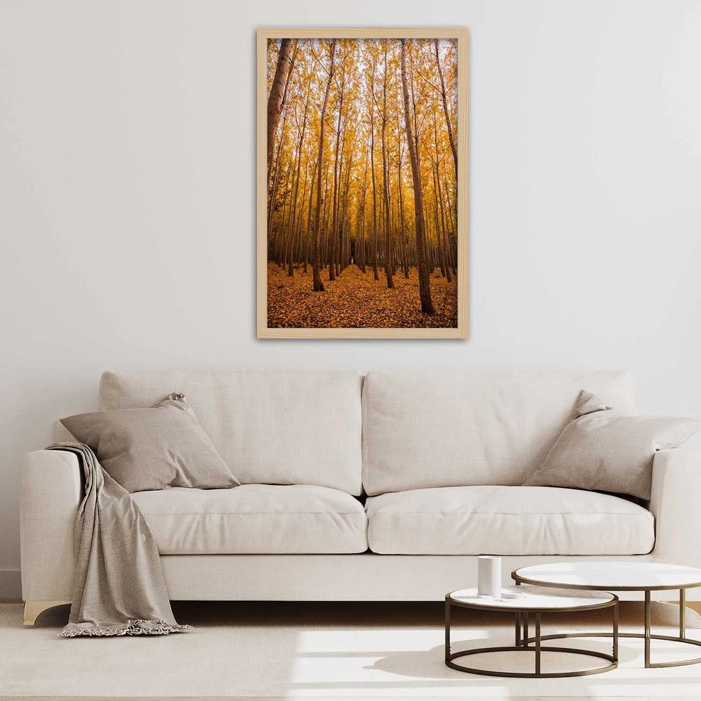 Gario Plagát Zlatý les na jeseň Farba rámu: Čierna, Rozmery: 20 x 30 cm