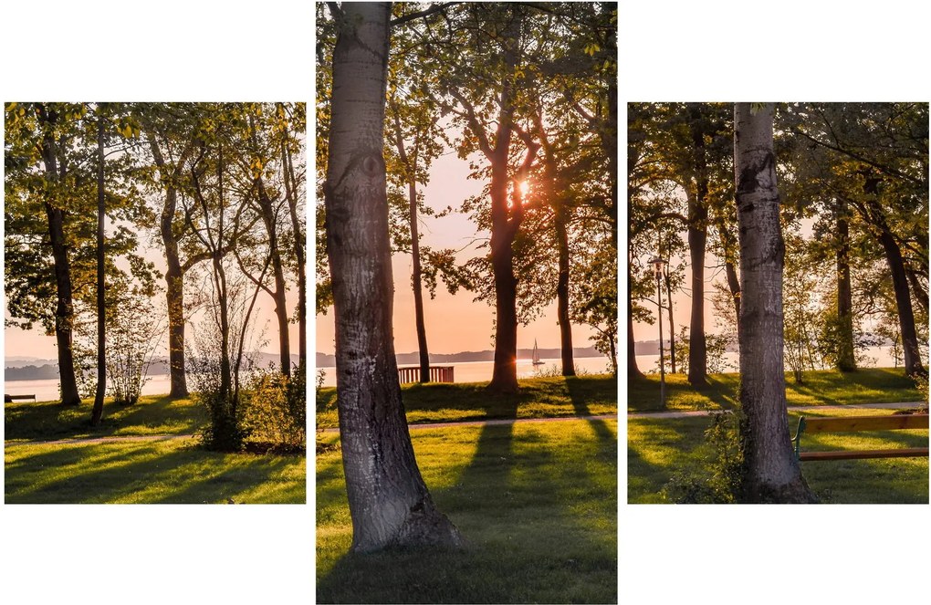 Obraz stromov pri jazere (90x60 cm)