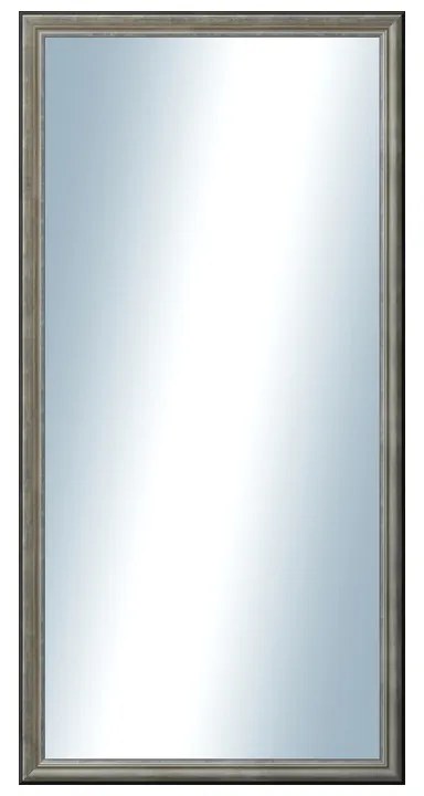 DANTIK - Zrkadlo v rámu, rozmer s rámom 60x120 cm z lišty Anversa strieborná (3152)