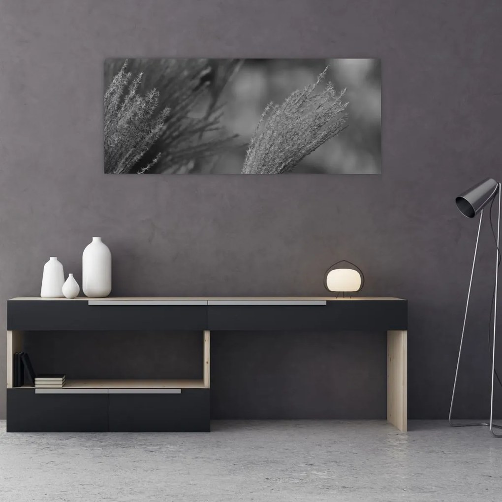 Obraz - Sušená pampová tráva (120x50 cm)
