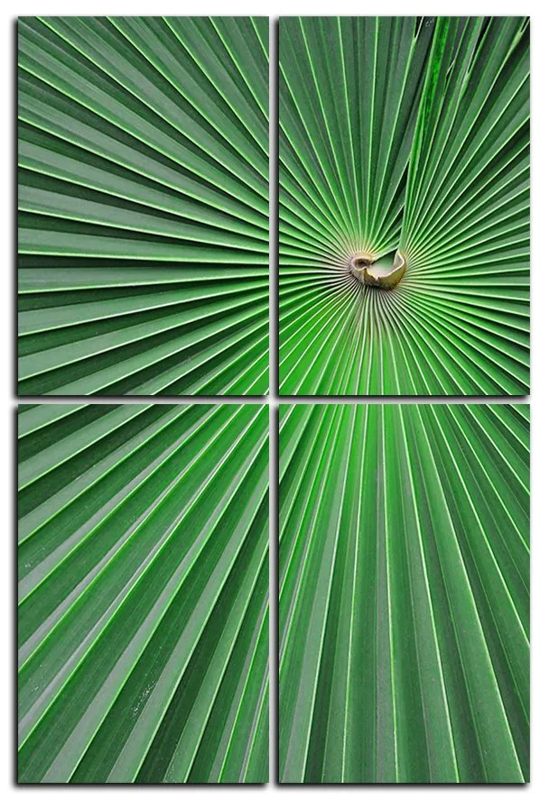 Obraz na plátne - Tropické listy - obdĺžnik 7205E (90x60 cm)