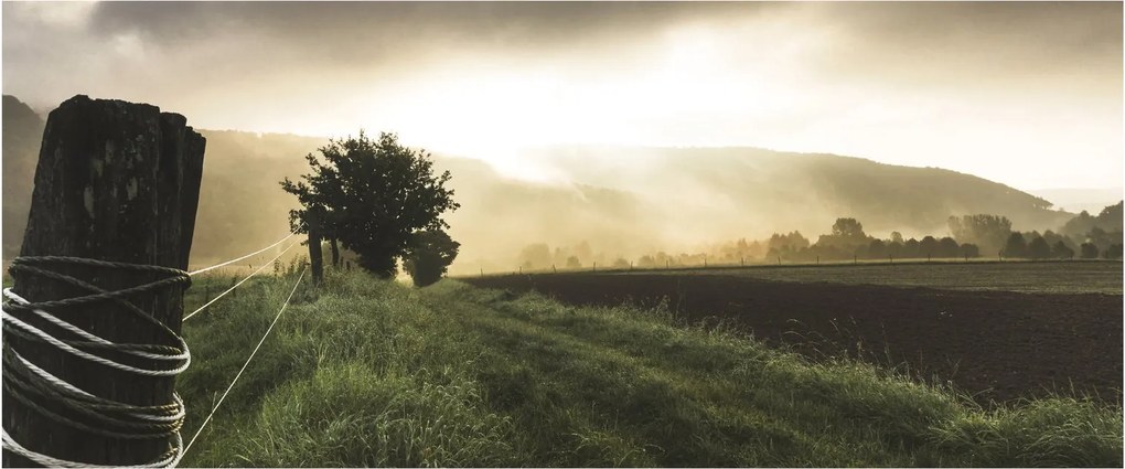Obraz lúky (120x50 cm)