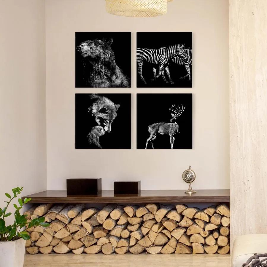 Manufakturer -  Štvordielny obraz Divoké zvieratá pred čiernym súborom I