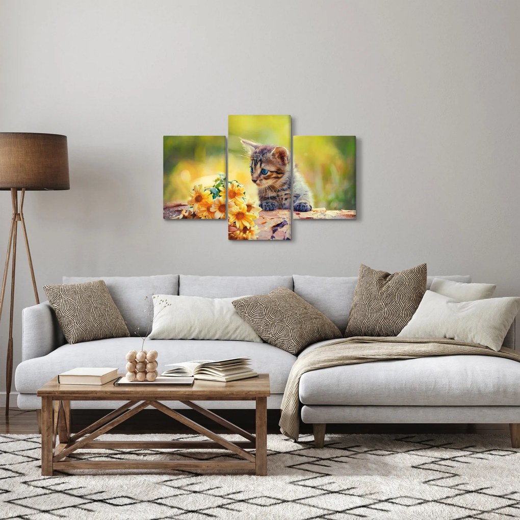 Obraz mačiatka pozerajúce sa na kvetinu (90x60 cm)
