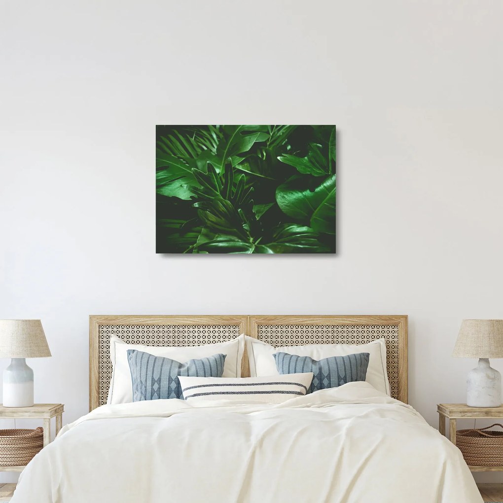 Sklenený obraz - Palmové listy (70x50 cm)