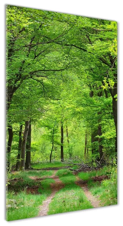 Moderný akrylový fotoobraz Zelený les pl-oa-70x140-f-104709227
