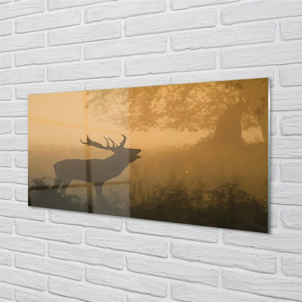 Sklenený obraz jeleň sunrise 120x60 cm