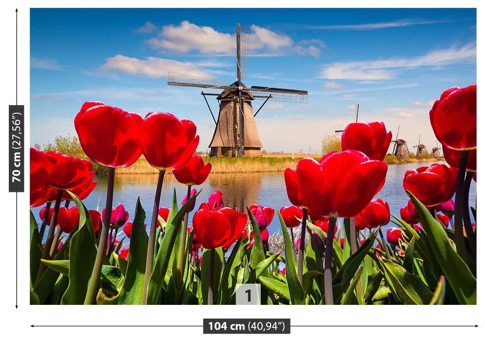 Fototapeta Vliesová Veterné mlyny v holandsku 416x254 cm