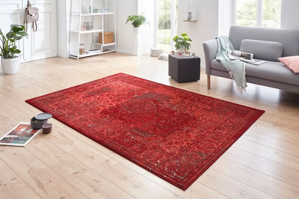 Hanse Home Collection koberce Kusový koberec Celebration 103467 Plume Red - 120x170 cm