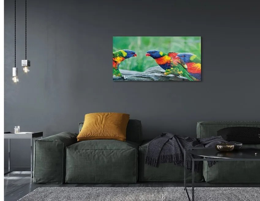 Sklenený obraz Farebný papagáj stromu 125x50 cm