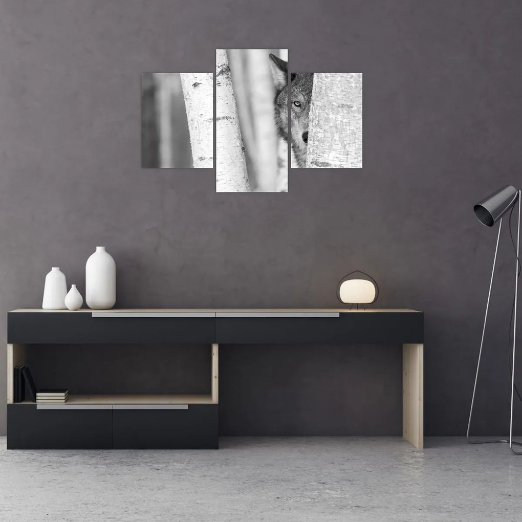Obraz - Vlk v lese (90x60 cm)