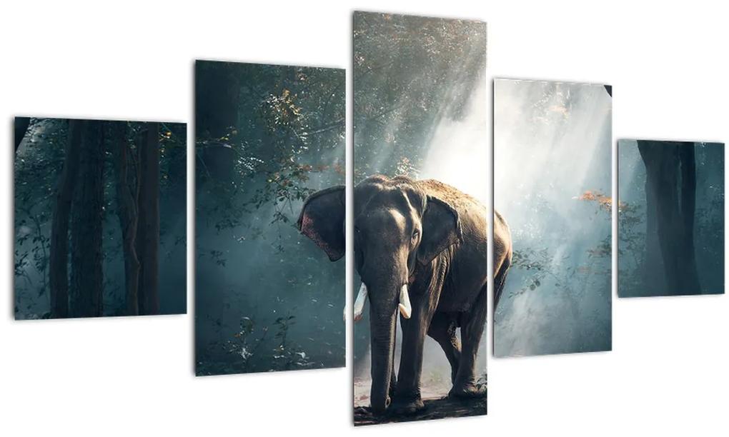 Obraz slona v džungli (125x70 cm), 40 ďalších rozmerov