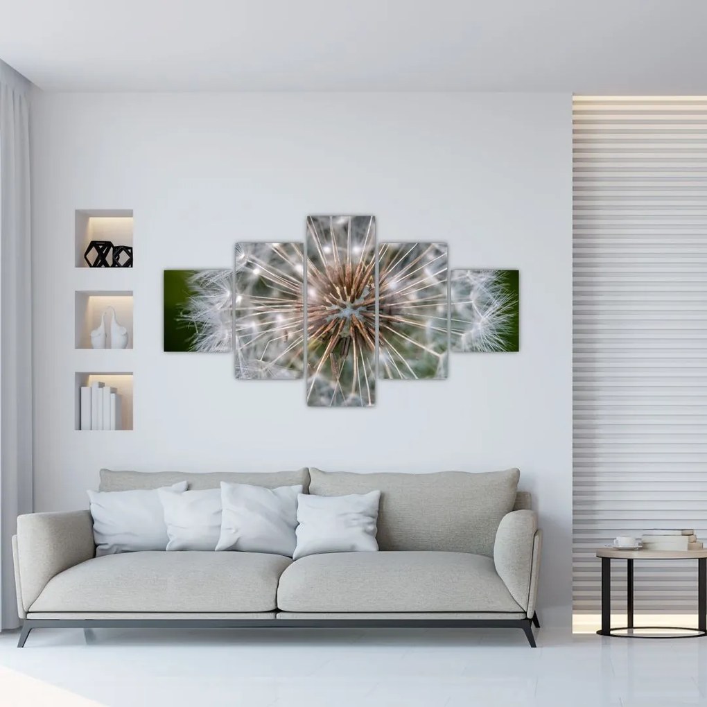 Obraz púpavy (125x70 cm), 40 ďalších rozmerov