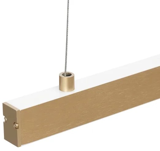 Argon 8836 - LED Luster na lanku MIAMI LED/37W/230V 3000K zlatá