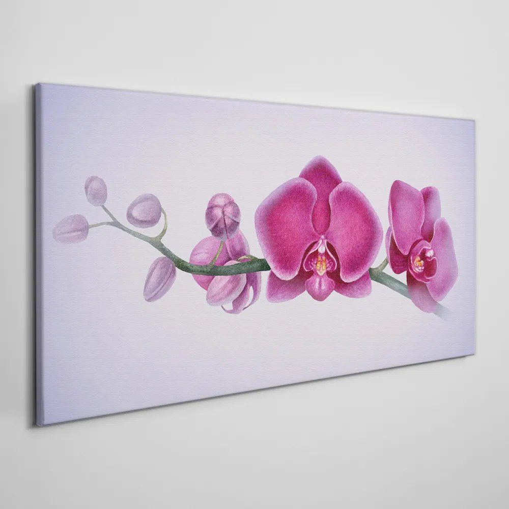 Obraz Canvas Akvarel kvetina vetva orchidea